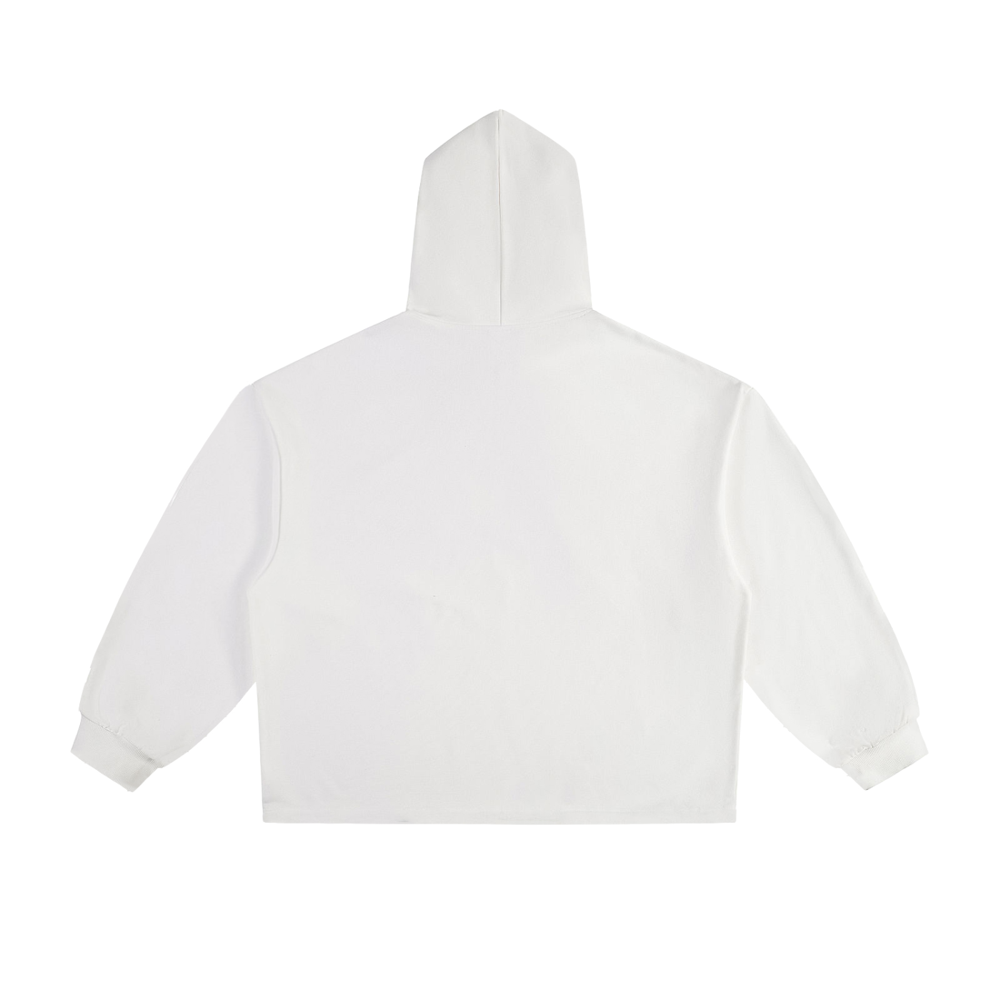 ABIDE Oversized Crop Hoodie